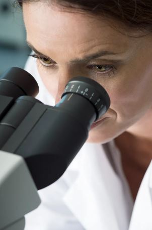 Image Searching for a Course